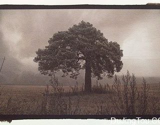 Van Dyke 范戴克接触印相工艺介绍（阿兹莱因）