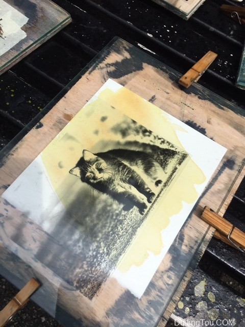 Vandyke布朗印刷；无需暗室的照片显影