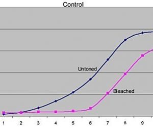 测试氯化金印相的画面保护方案