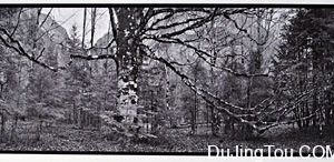 范戴克 Vandyke Brown 一种使用金进行永久印相的方法