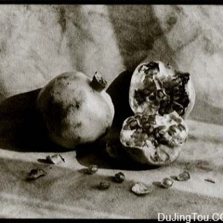 范戴克Vandyke印相笔记