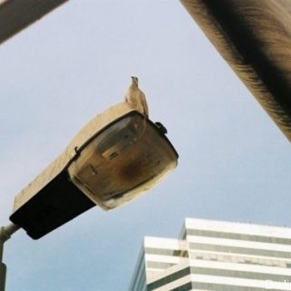 Nicole：胶片摄影拍摄人＃5号的采访：温恩