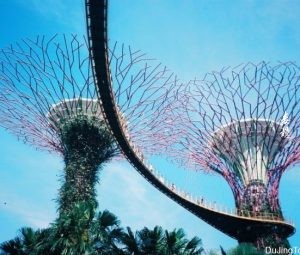 柯达Ektar 100胶卷的体验