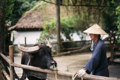 电影拍摄人＃1的访谈：邵文