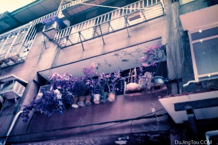 Contax TVS上的Lomochrome Purple XR100-400