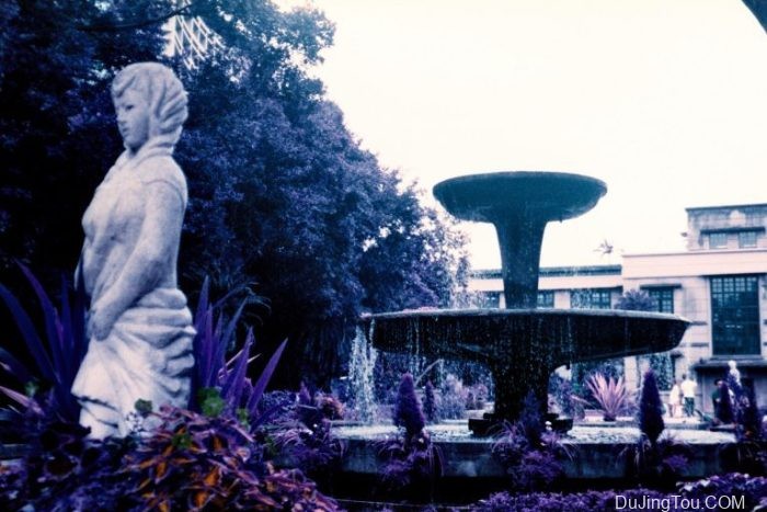 Contax TVS上的Lomochrome Purple XR100-400 Contax TVS上的Lomochrome Purple XR100-400