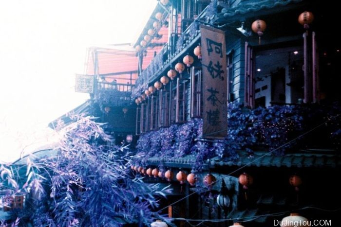 Contax TVS上的Lomochrome Purple XR100-400