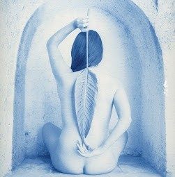 新蓝晒印相 New CyanoType的体验及讨论