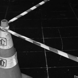 用Xpro 2漫游我的邻居