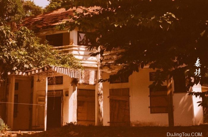 为什么我的Rossmann 100胶卷会发红色