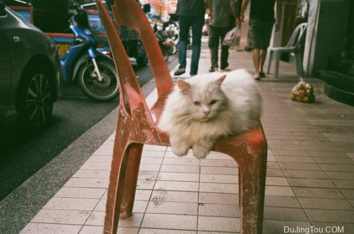 电影日记＃7：奥林巴斯mjuii上的Tudorcolor XLX 200