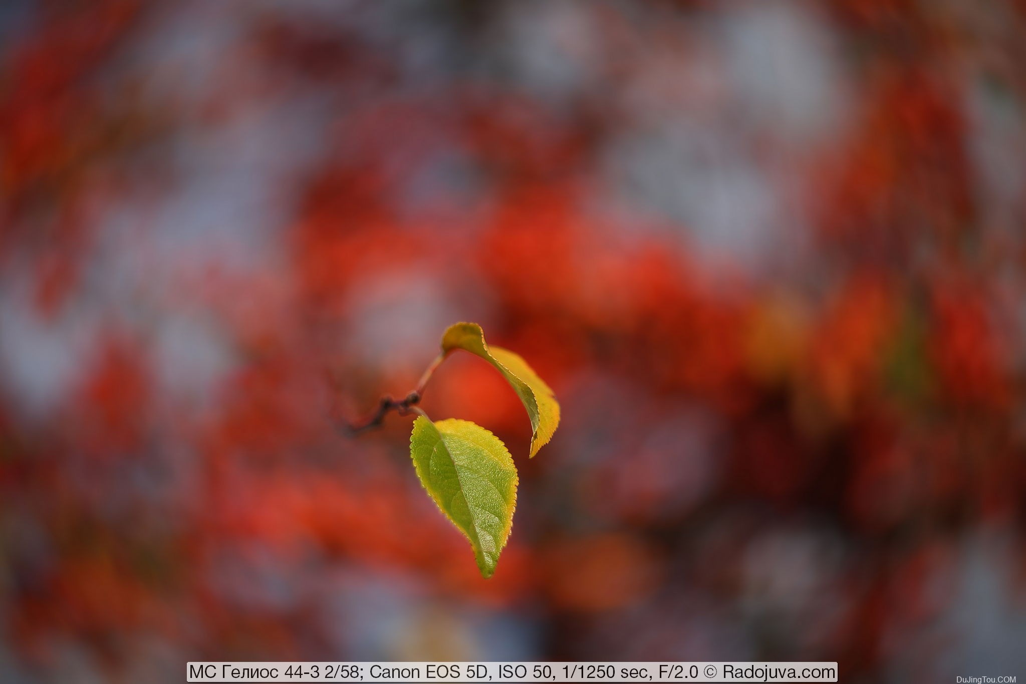 苏联镜头： Helios 44-3 2/58 MS MMZ, 8 光圈版