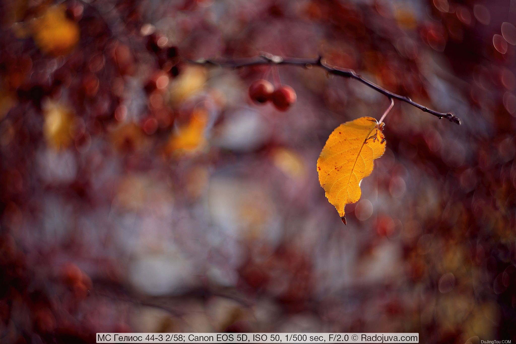 苏联镜头： Helios 44-3 2/58 MS MMZ, 8 光圈版