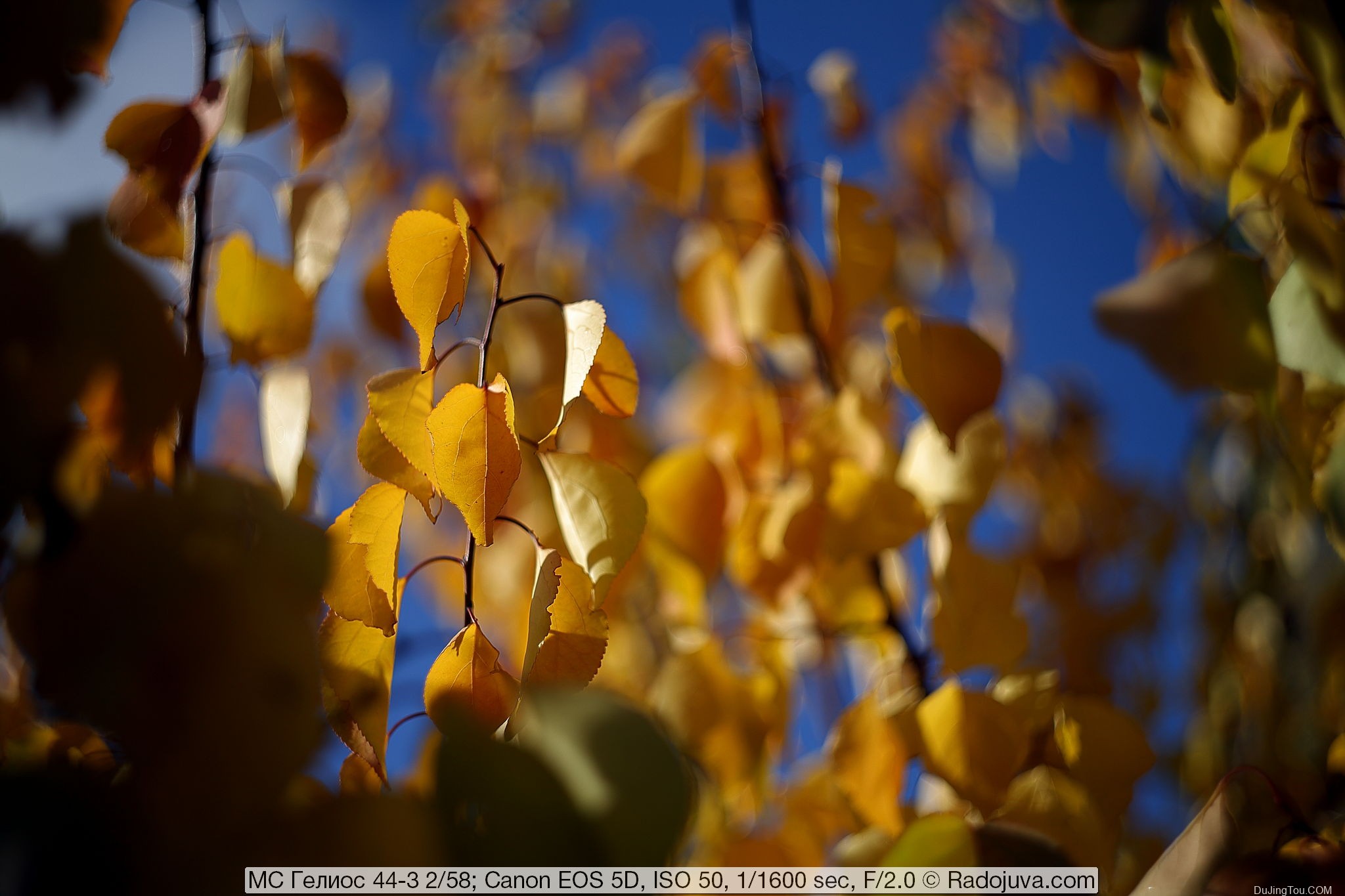 苏联镜头： Helios 44-3 2/58 MS MMZ, 8 光圈版