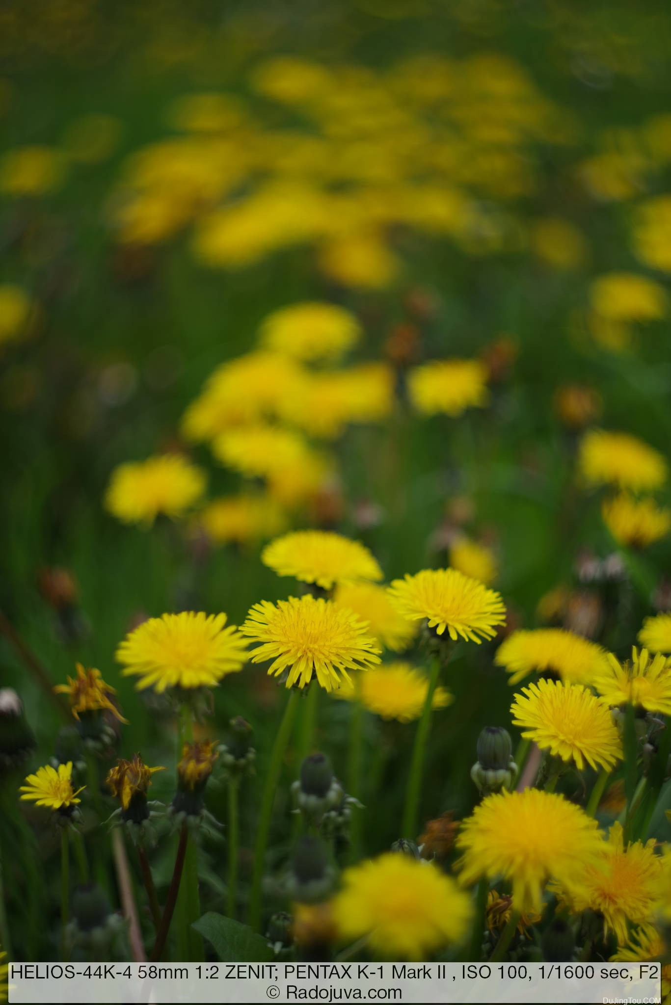 苏联镜头：HELIOS-44K-4 58mm 1:2 KMZ, 6 片光圈版, Pentax K机身样片