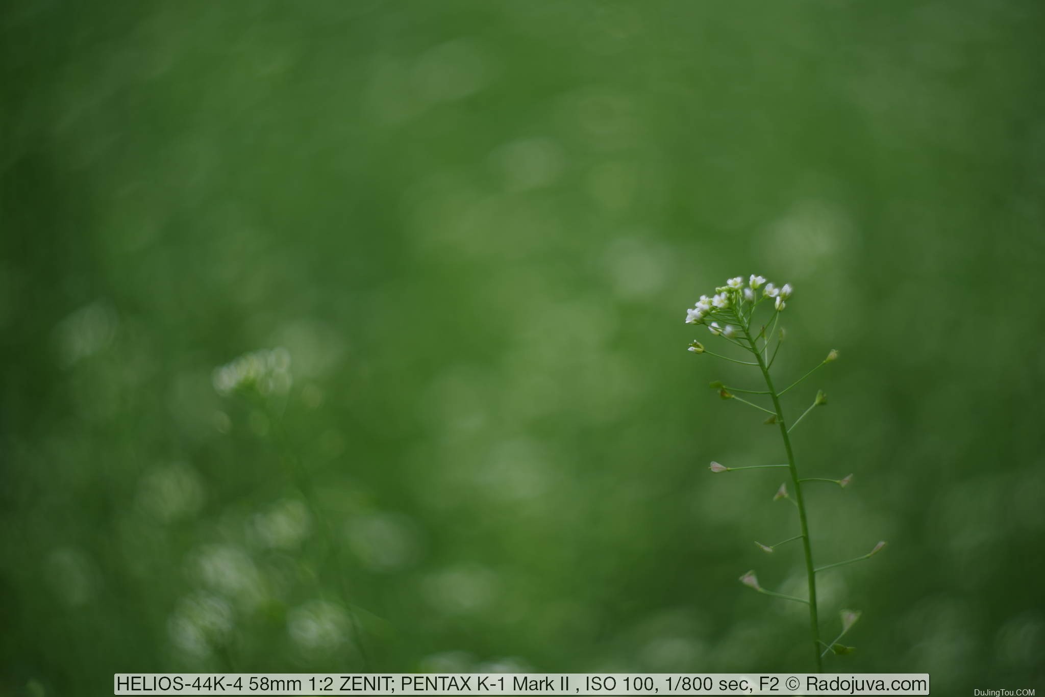 苏联镜头：HELIOS-44K-4 58mm 1:2 KMZ, 6 片光圈版, Pentax K机身样片