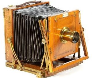 Sanderson Junior 桑德森少年