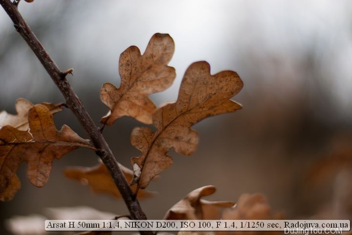 苏联镜头：Helios-123Н 50mm F1.4 МС 也叫做 Arsat 50mm 1: 1,4 H镜头资料及样片