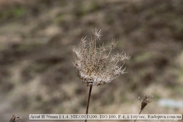 苏联镜头：Helios-123Н 50mm F1.4 МС 也叫做 Arsat 50mm 1: 1,4 H镜头资料及样片