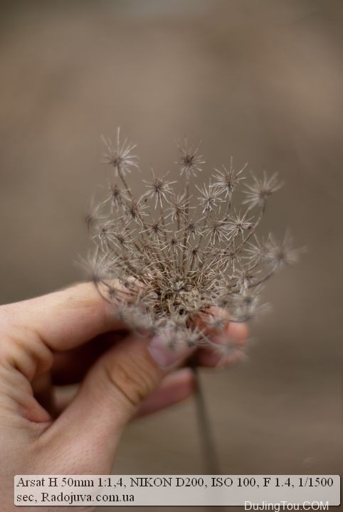 苏联镜头：Helios-123Н 50mm F1.4 МС 也叫做 Arsat 50mm 1: 1,4 H镜头资料及样片