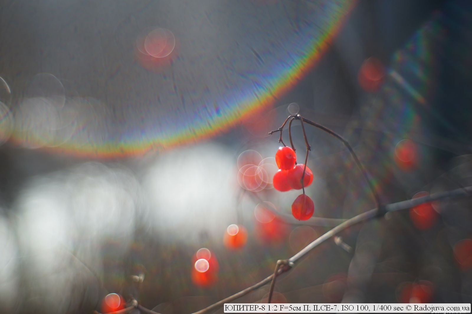 苏联镜头：JUPITER-8 1: 2 F = 5cm P 版本 Contax-Kiev RF卡口镜头资料及样片