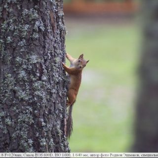 苏联镜头：KO-120M 1: 1.8 F = 120mm 70毫米电影放映镜头资料及样片