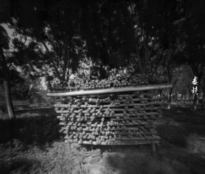 毒镜:大画幅针孔摄影照片