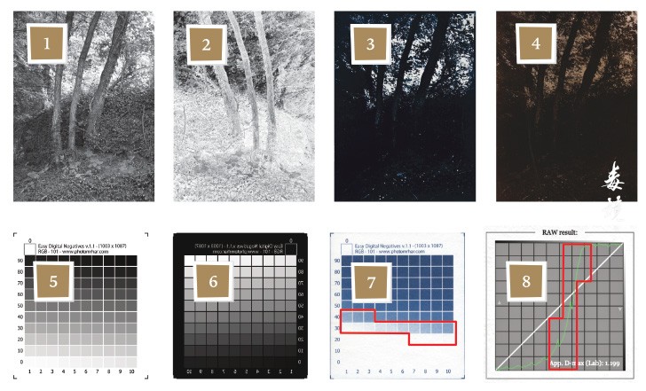 印相：分享一个数字中间底曲线工具——Easy Digital Negatives